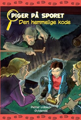 Den hemmelige kode af Petter Lidbeck