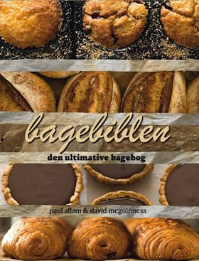 Bagebiblen af Paul Allam