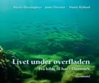 Livet under overfladen