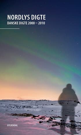 Nordlys Digte af Hanne Leth
