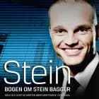 Stein