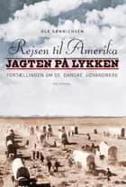 Rejsen til Amerika 2