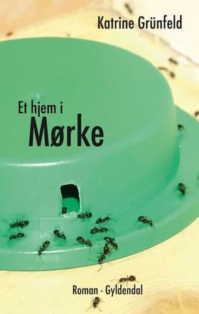 Et hjem i Mørke af Katrine Grünfeld