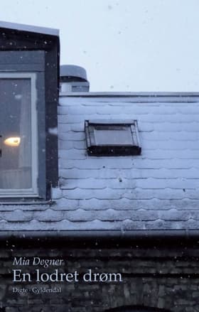 En lodret drøm af Mia Degner