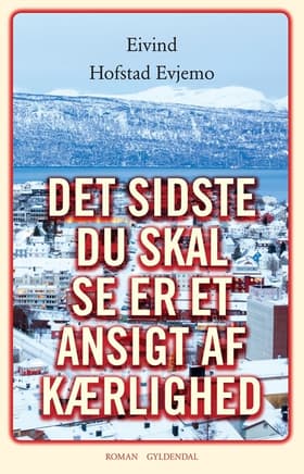 Det sidste du skal se er et ansigt af kærlighed af Eivind Hofstad Evjemo