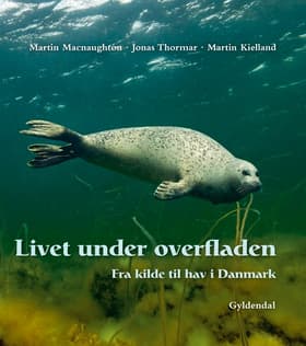 Livet under overfladen af Martin Macnaughton