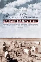 Rejsen til Amerika 2 Jagten på lykken