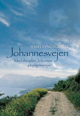 Johannesvejen af Hans Lyngsgaard