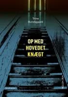 Mellem_rum. Op med hovedet knægt