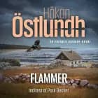 Fredrik Broman 3 - Flammer