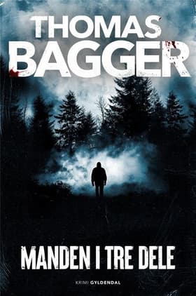 Manden i tre dele af Thomas Bagger