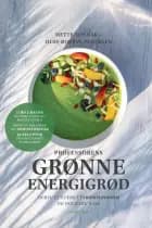 Professorens grønne energigrød