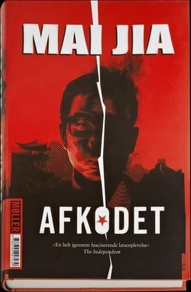 Afkodet af Mai Jia