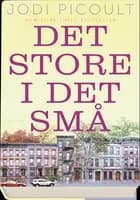 Det store i det små