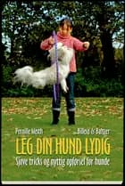 Leg din hund lydig