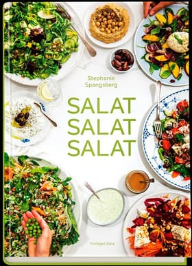 Salat, salat, salat af Stephanie Spangsberg
