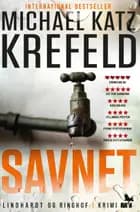 Savnet (Ravn-serien nr. 2)