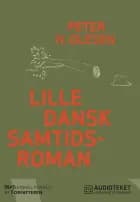 Lille dansk samtidsroman