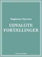 Udvalgte fortællinger
