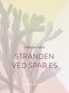 Stranden ved Spar Es