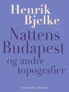Nattens Budapest og andre topografier