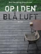 Op i den blå luft