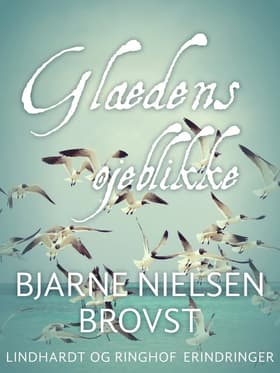 Glædens øjeblikke af Bjarne Nielsen Brovst