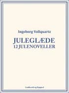 Juleglæde: 12 julenoveller