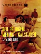 Der er ingen mening i galskaben: 13 monologer