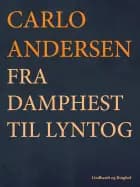 Fra Damphest til Lyntog