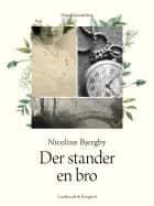 Der stander en bro