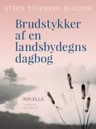 Brudstykker af en landsbydegns dagbog
