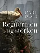 Regnormen og storken