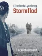 Stormflod