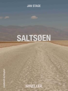 Saltsøen af Jan Stage