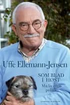 Som blad i høst - Mit liv efter politik
