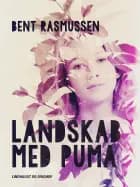 Landskab med puma