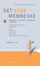Det syge menneske bd. II