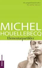 Elementarpartikler