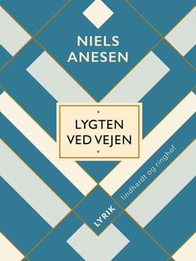 Lygten ved vejen af Niels Anesen