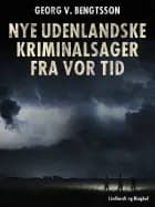 Nye udenlandske kriminalsager fra vor tid
