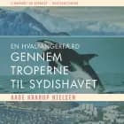 En hvalfangerfærd gennem troperne til sydishavet