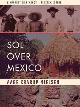Sol over Mexico af Aage Krarup Nielsen