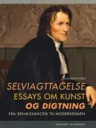 Selviagttagelse. Essays om kunst og digtning fra renæssancen til modernismen
