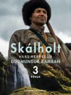 Skálholt 3
