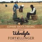 Udvalgte fortællinger
