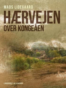 Hærvejen over Kongeåen af Mads Lidegaard