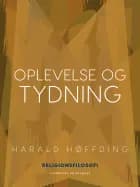 Oplevelse og tydning
