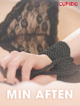Min aften - erotiske noveller af Cupido