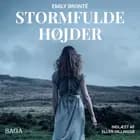 Stormfulde højder